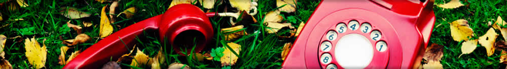 header_phone