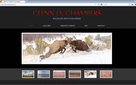 Glenn D. Chamber's new wildlife photography portfolio web design.